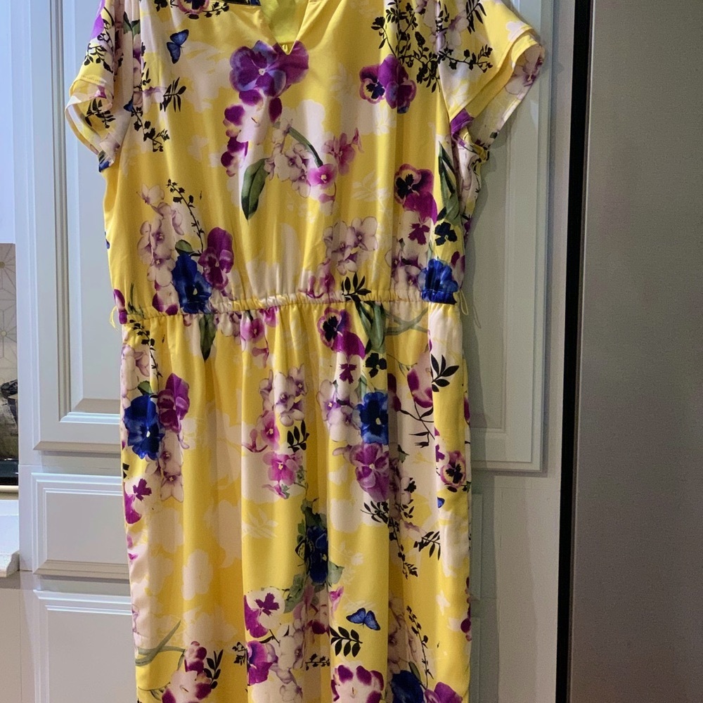 Vintage Dress C j Banks
